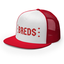 Load image into Gallery viewer, BALL+GRIND - The BREDS Trucker Cap